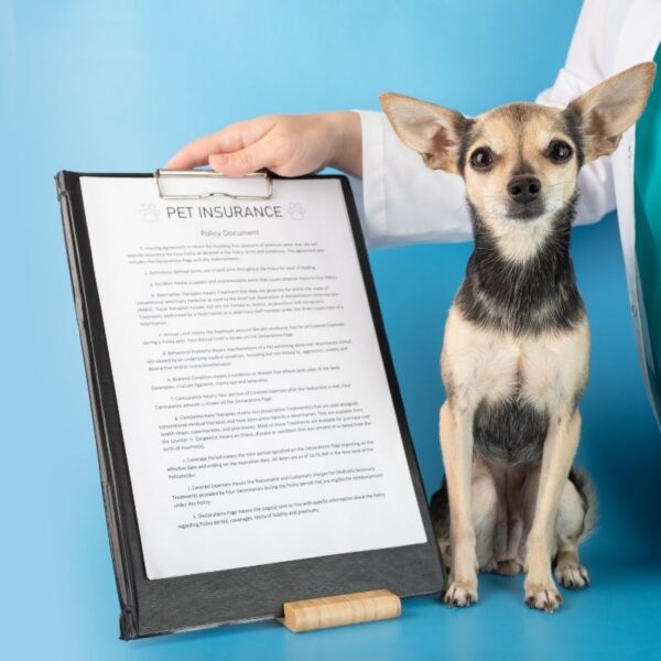 Dog liability insurance